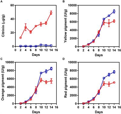 Investigation of Citrinin and Pigment Biosynthesis Mechanisms in Monascus purpureus by Transcriptomic Analysis